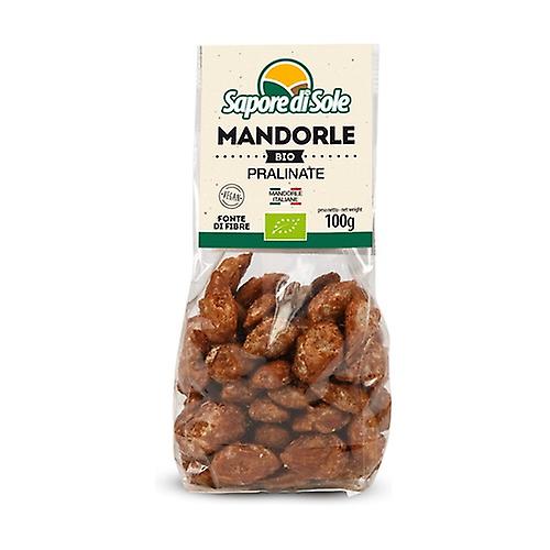 Pralin almonds 100 g