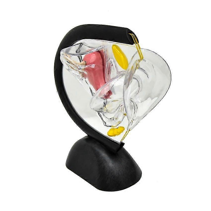 女性の生殖器系モデル透明な子宮モデル教授または医学の提示のための女性の解剖モデル