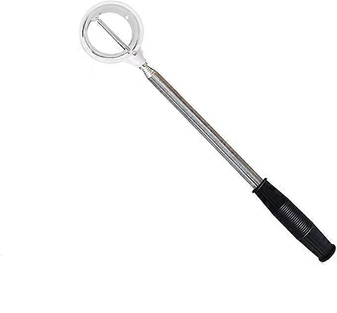 ステンレス製水用格納式ゴルフボールレトリーバー |ゴルフボールパターグラバークロー吸盤ツール、理想的なゴルファーギフト、最大(2個、ランダムカラー)