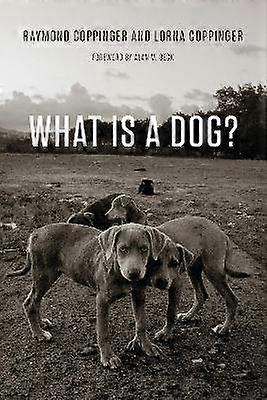 What Is a Dog?
