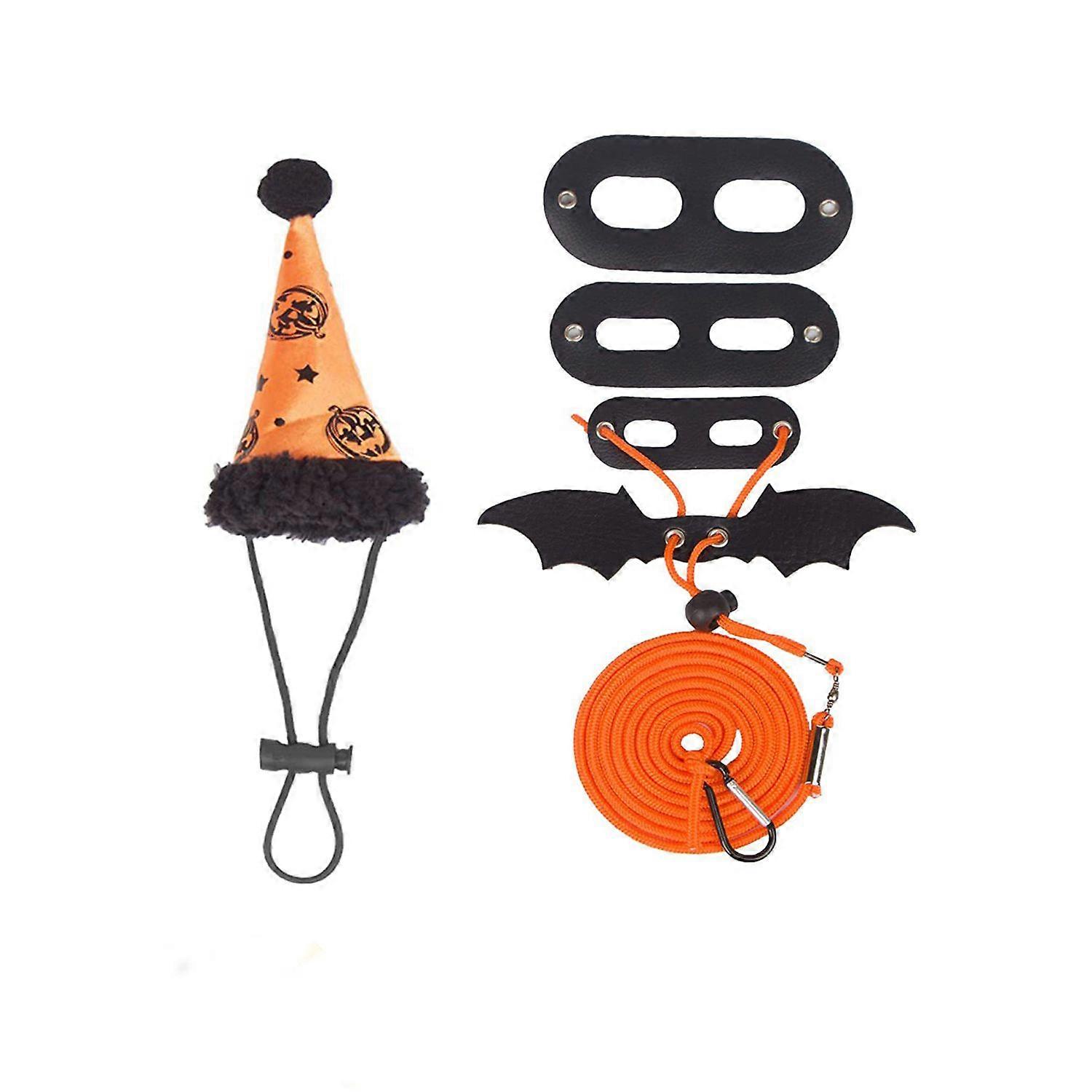 Lizard Halloween Costume Set Adjustable Leather Harness with Wing Leash & Hat