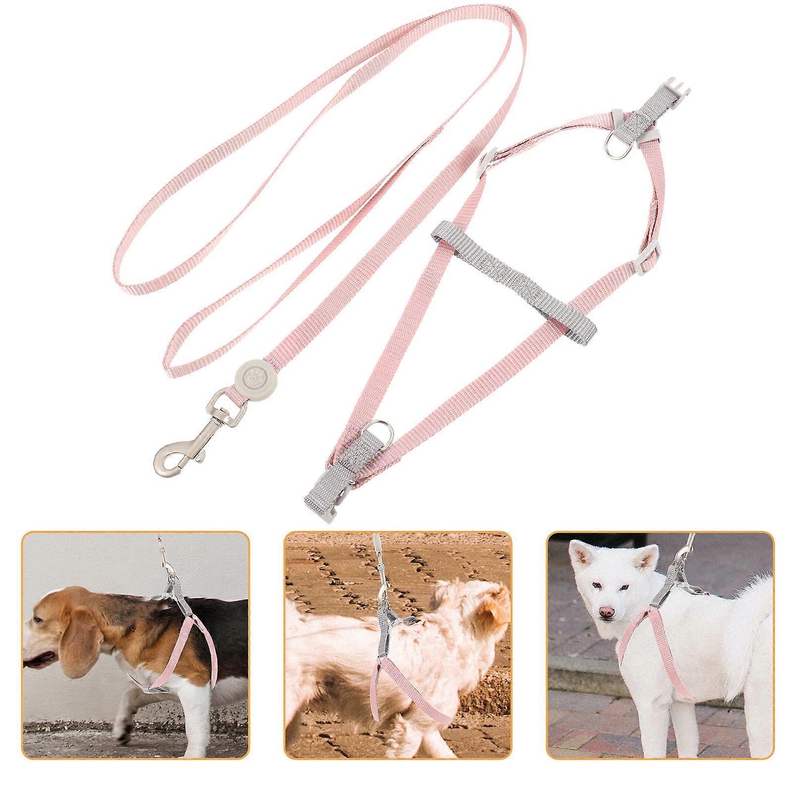 Adjustable Lightweight Dog Harness with Leash, , Easy Buckle Design, D Rings for Secure and Comfortable Outdoor Walking