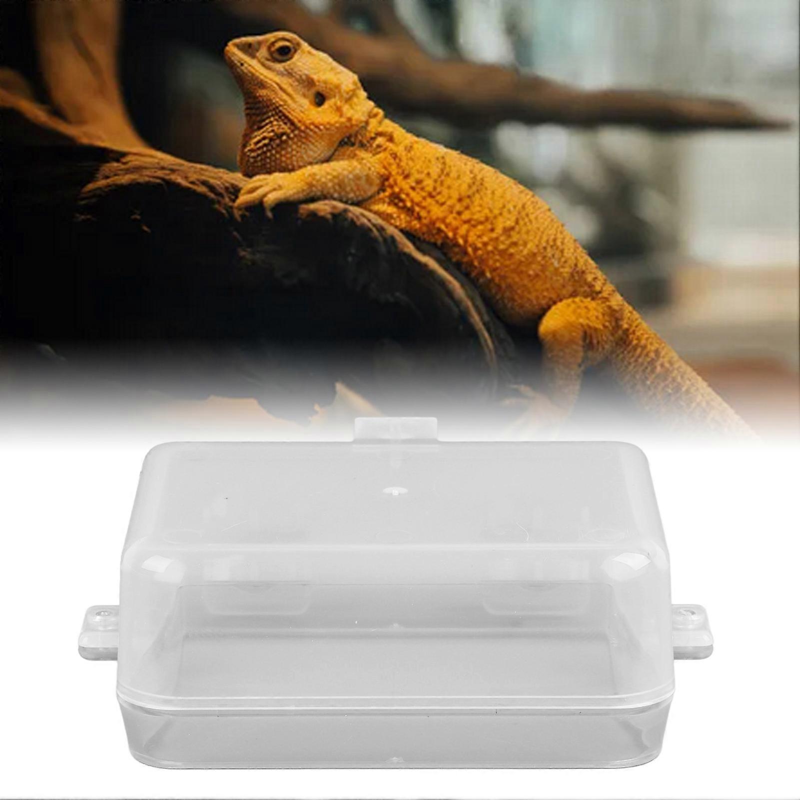 Transparent Reptile Feeder Cup with Suction for Lizard Snake Gecko