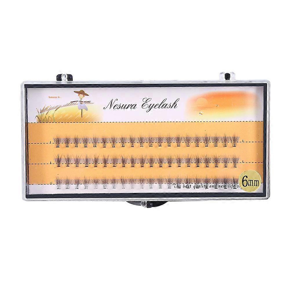 Natural and soft false eyelash extensions, luxury eyelashes, volume, 3D fans (6 mm)