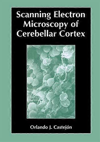 Scanning Electron Microscopy Of Cerebellar Cortex by Orlando Castejon Paperback