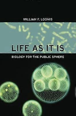 Life as It Is