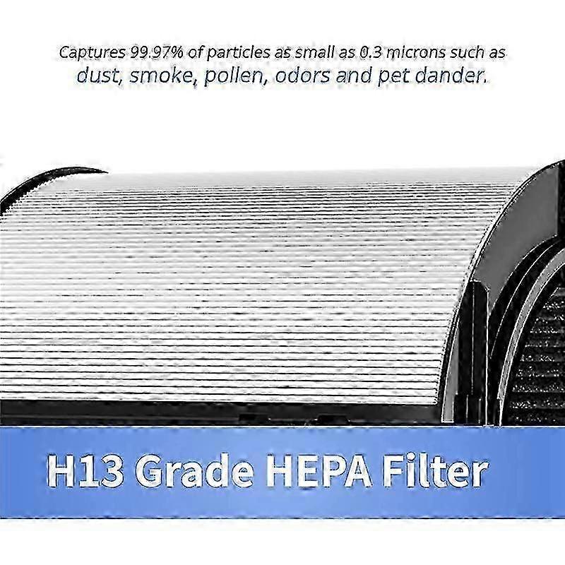 H13 True HEPA Carbon Replacement
