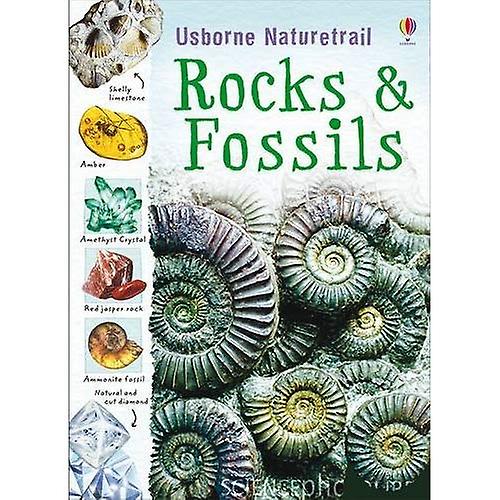Naturetrails: Gesteine und Fossilien