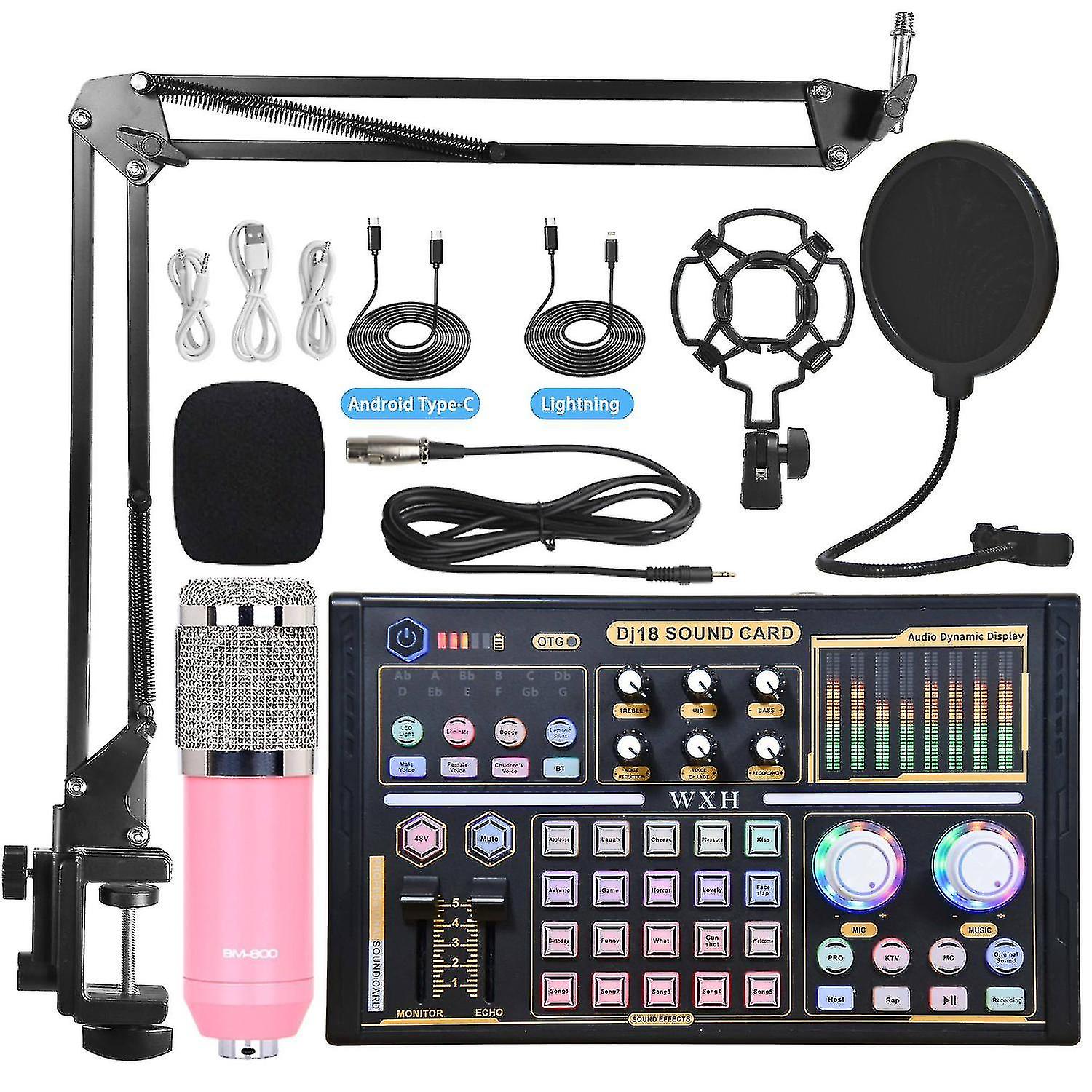 Professional Studio Audio Kit Microphone Sound Card Tuning Equipment - Rose
