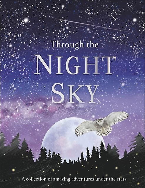 Through The Night Sky by DK Paperback Book
