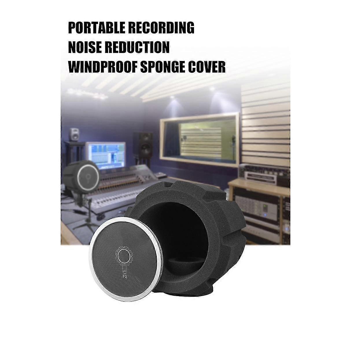 F2 Professional Condenser Microphone Studio Screen Acoustic Filter Windscreen Enregistrement Microphone Filter Black Net