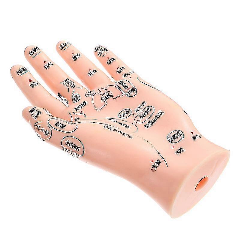 Acupuncture Model Children's Left Hand Acupuncture Reflex Zone Model Hand Reflex