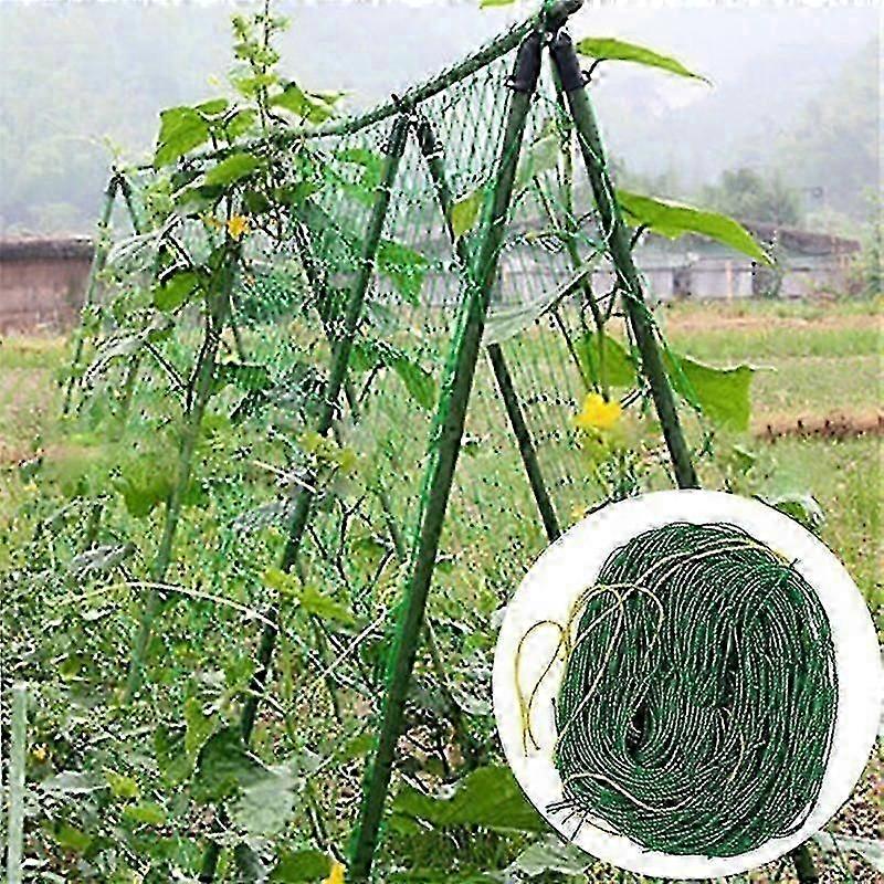 4 sizes 27 strands horticultural plant climbing vine net ipomoea nil rattan ropes flowers