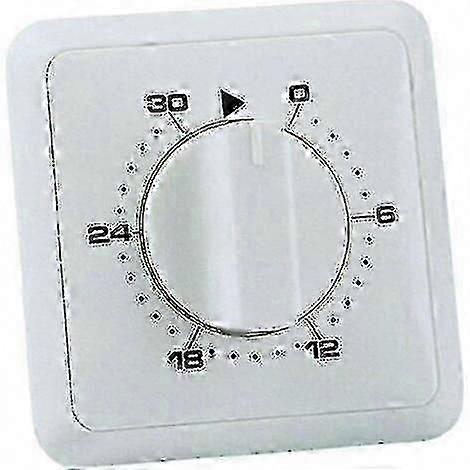 Analog Day Program Timer for Recessed Mounting 30 Minute XH