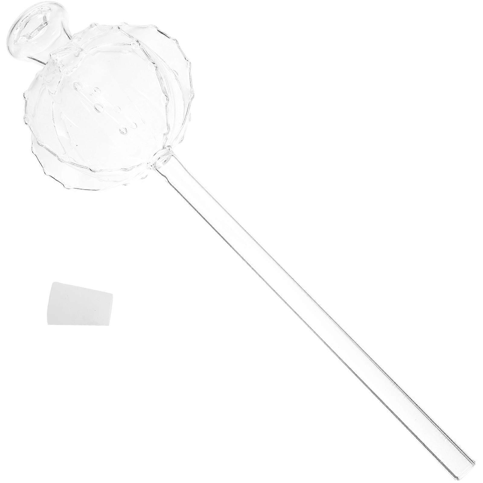 Automatic Watering Globe for Plants Clear Glass Self-Watering Tool