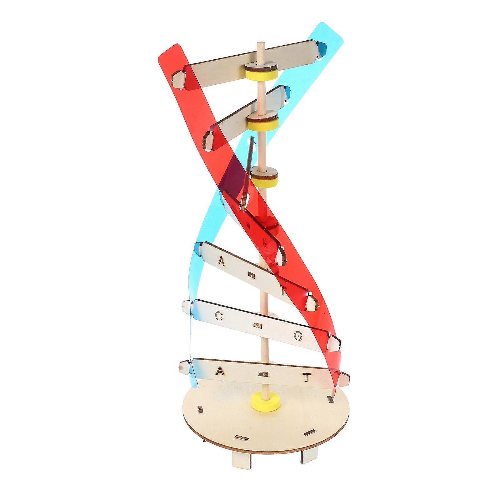Human Dna Double Helix Model for Teaching 1Set DIY Educational Kit