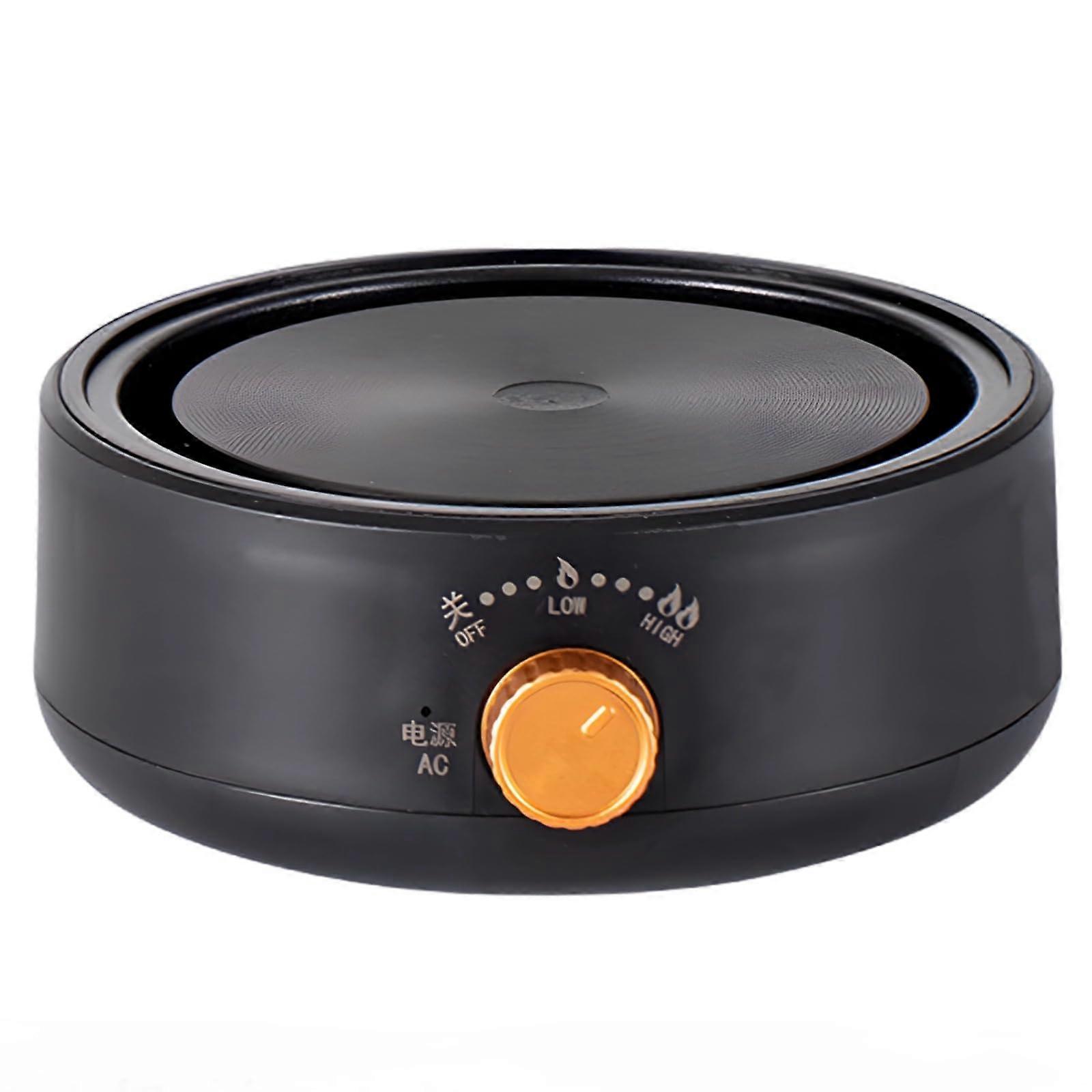 Electric Kettle with Precise Temperature Control, 500W Mini Cooker for Tea and Coffee, Black