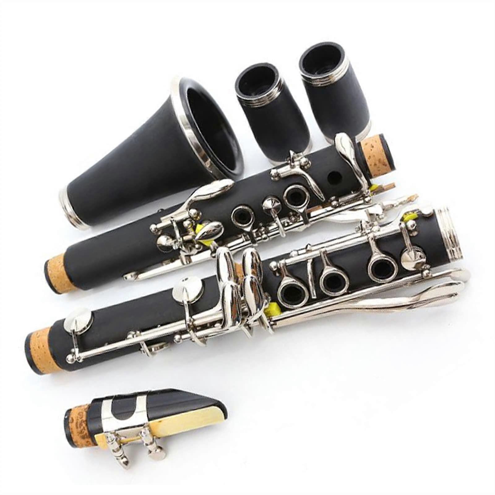 Professional E Flat Clarinet with Durable Ebonite Body and Hard Case for Beginners