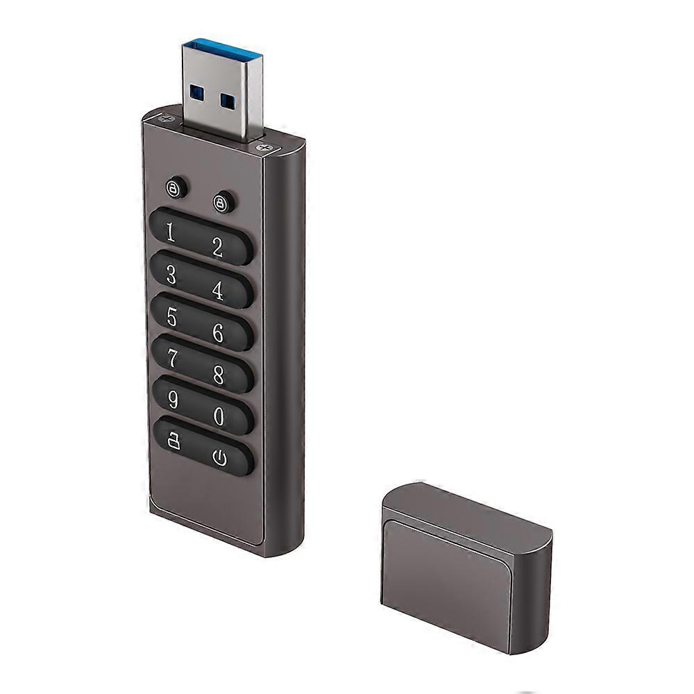128GB 256-bit Encrypted USB Drive Password Secure Flash Drive U Disk Support Reset/Wipe/Auto Lock Function, Grey