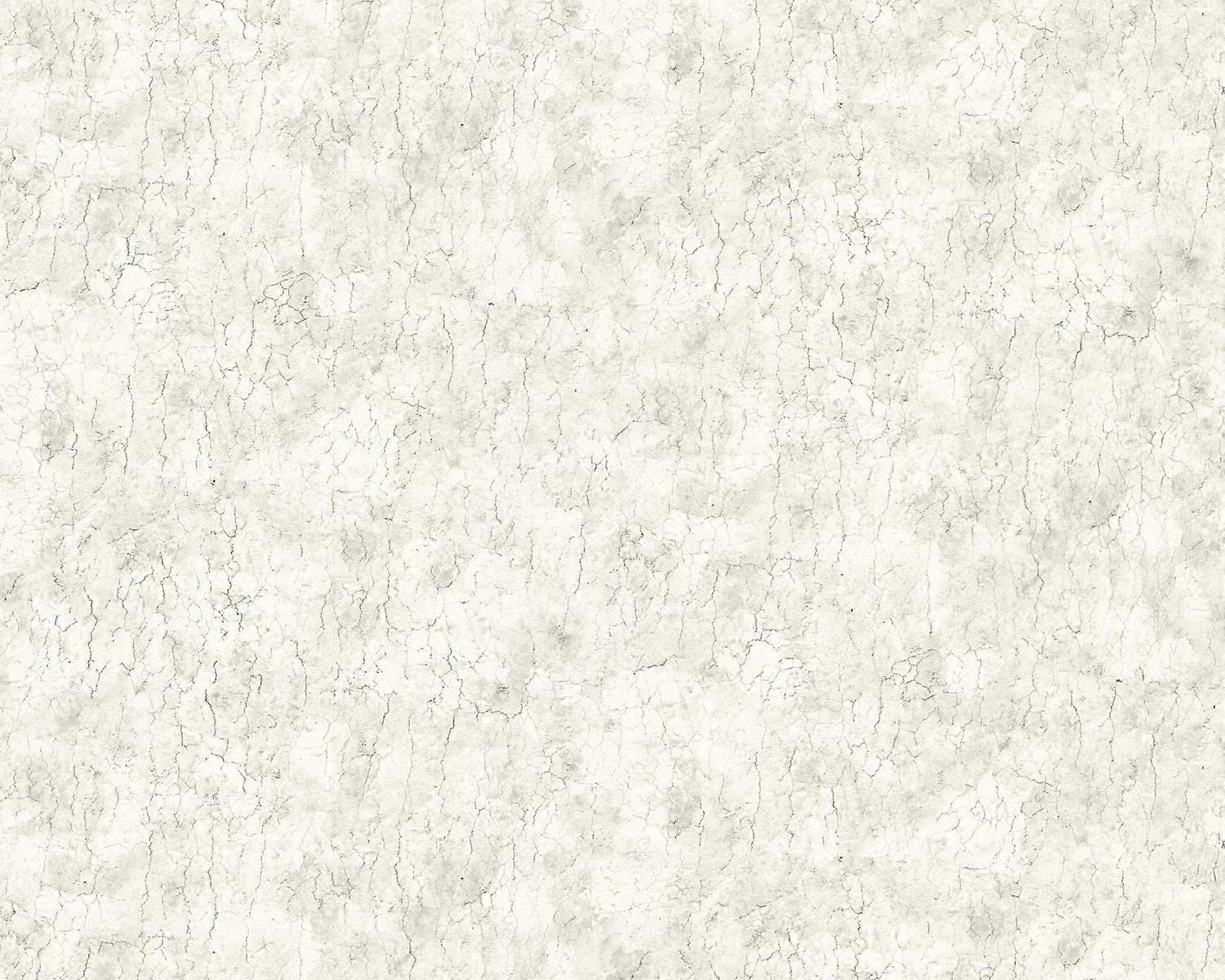 Plaster look non-woven wallpaper wall EDEM 807DN46 hot embossed slightly textured with decorative render look matt beige grey