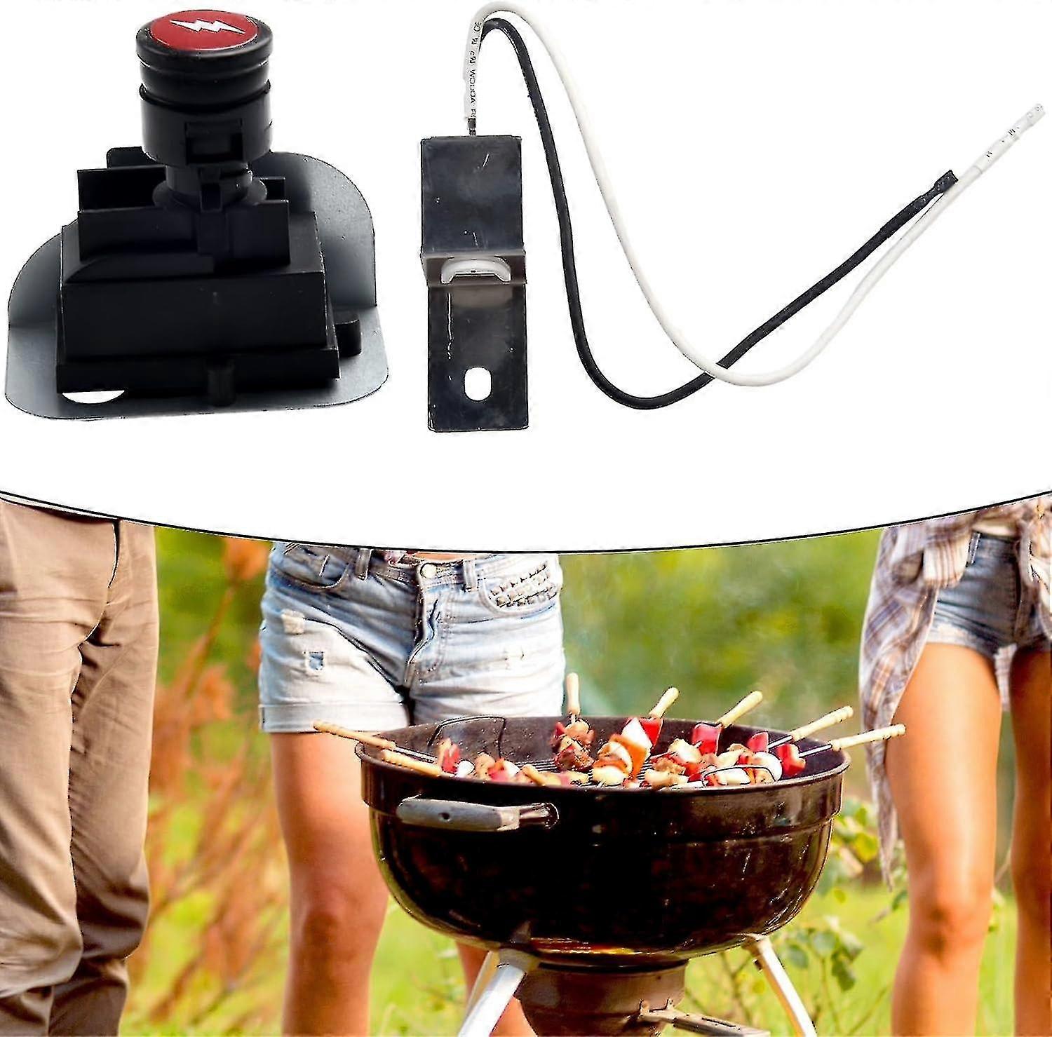 Gasgrill Zündsatz Für Weber Q1200 Q2200 - Ersatzteil 64868