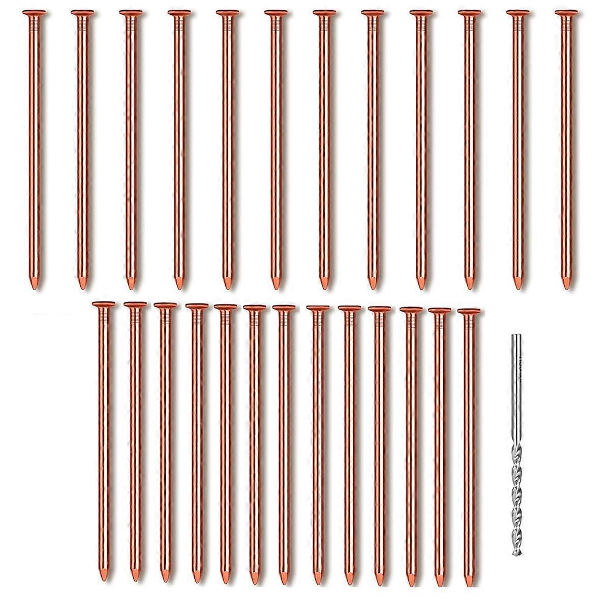 25Pcs Copper Nails for Tree Stumps 3.14 Inches Long Pure Copper Nails Bulk with Drill Bit to Remove
