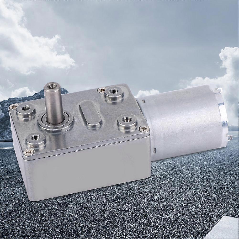 Micro Type DC 24V Worm Gear Motor 30RPM High Torque Durable