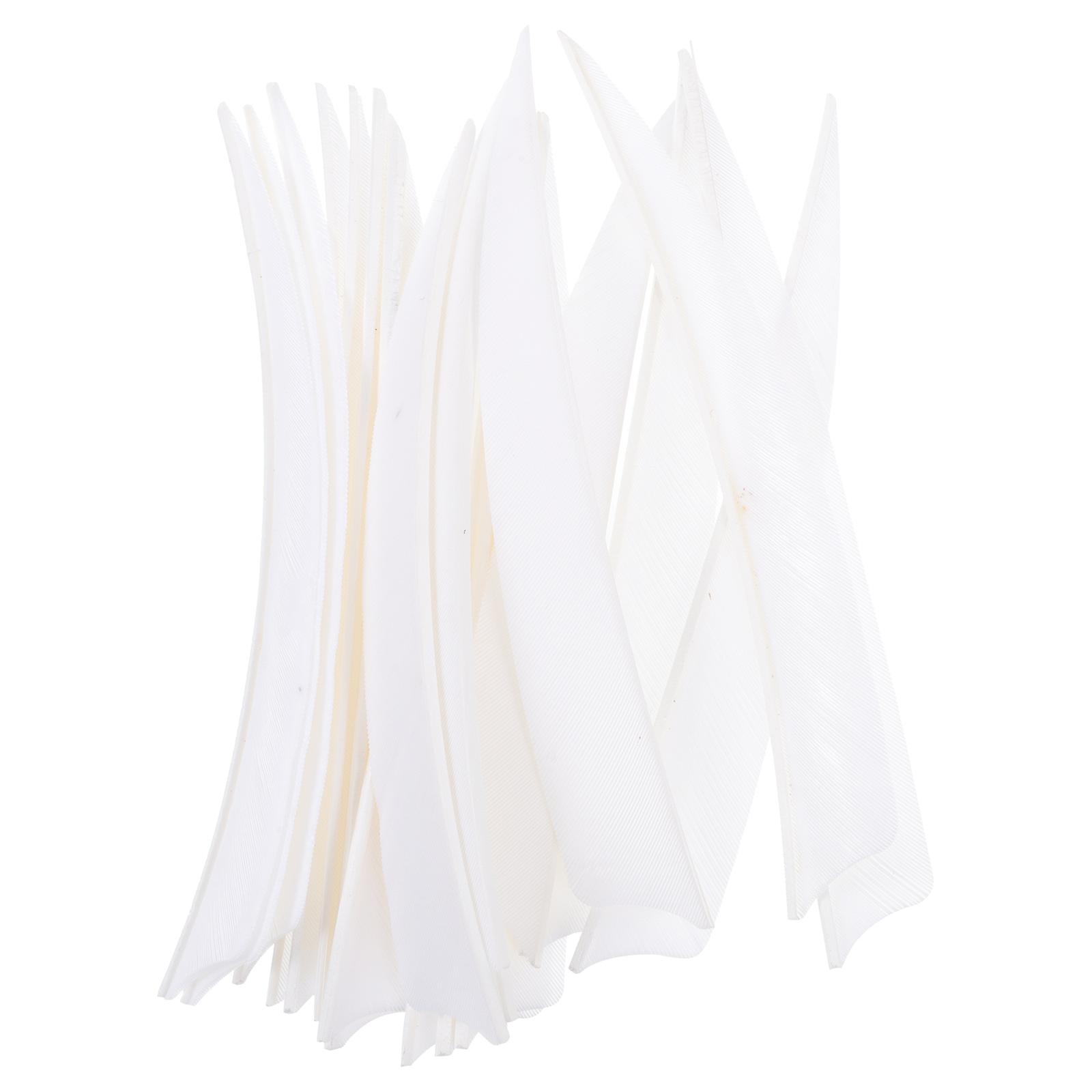 Tail Real Turkey for Outdoor 20Pcs White Accessory