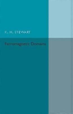 Ferromagnetic Domains