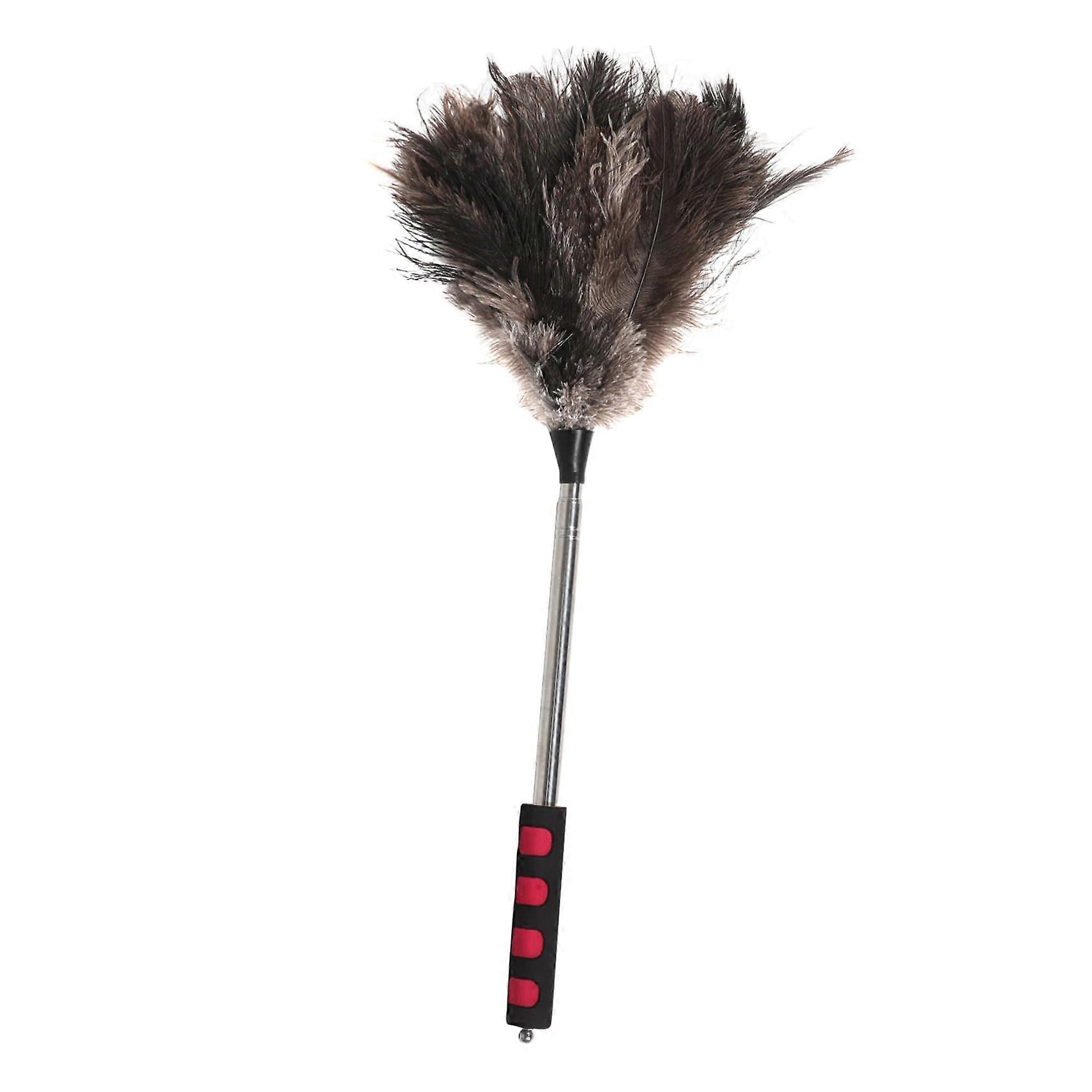 Ceiling Fan Duster with Extendable Telescoping Handle, Soft Reusable Plume Brush for  Ceilings