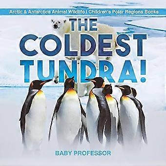 Kylmin Tundra! Arctic & Antarktinen Eläinten Wildlife Lasten & apos;s Polar alueet Kirjat
