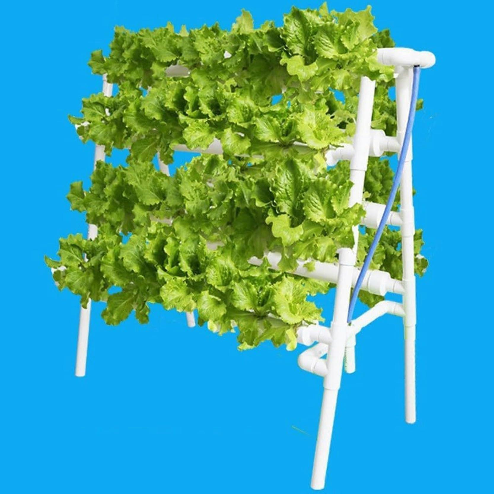 Indoor Hydroponics System with SpaceSaving Vertical Design for YearRound Vegetable and Herb Growing