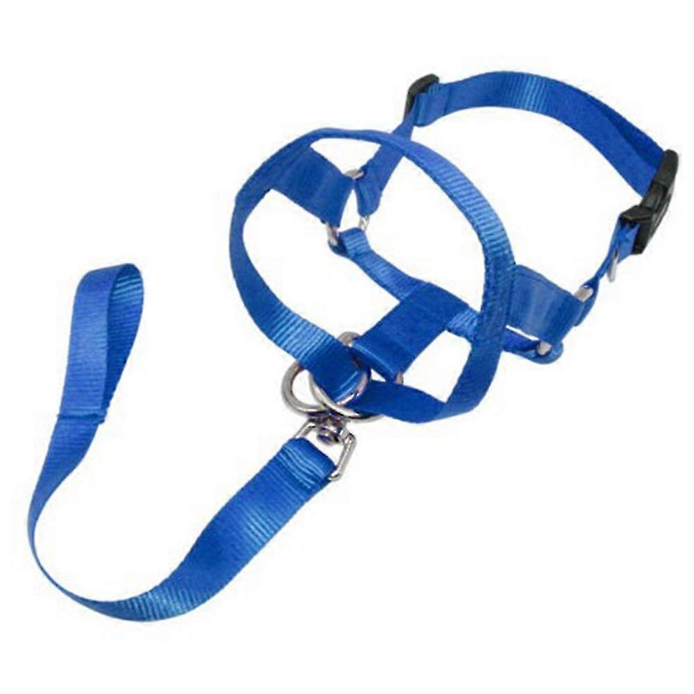 Adjustable No-Pull Dog Head Collar