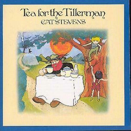 Cat Stevens Tea for the Tillerman CD (2000)
