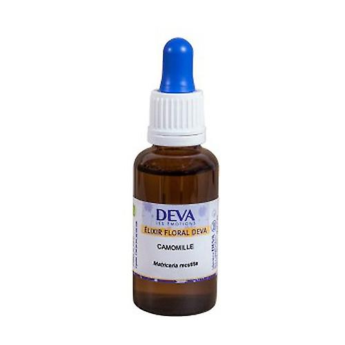 Organic Chamomile 30 ml of floral elixir
