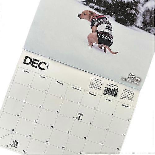 I Cani Che Fanno La Cacca Diventano Protagonisti Di Un Calendario Imperdibile - Radio - Foto 7