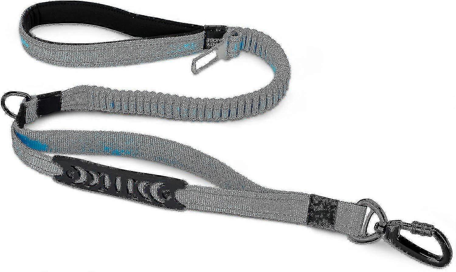 Dog Training Leash (blue)