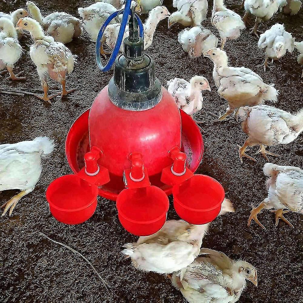 12pcs Chicken Watering Cup Automatic Filling Waterer Poultry Drinking