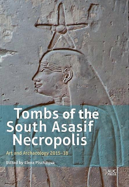 Tombs Of The South Asasif Necropolis Paperback Book