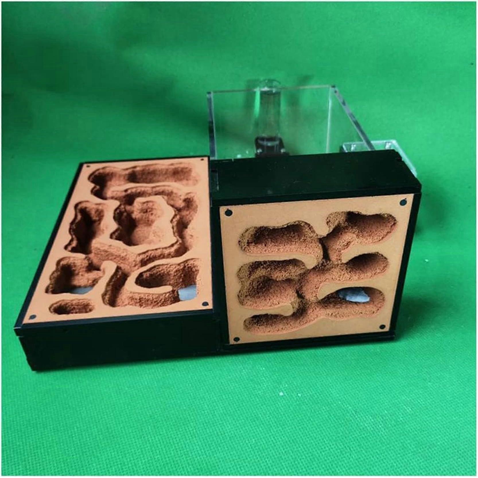 Acrylic Ant Farm Kit With Plaster Insect Villa For Ant Nest Display Formicarium Habitat Compact Desk Top Clear