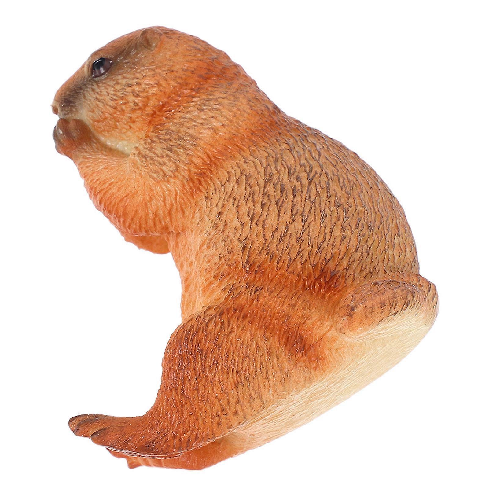 Realistic Groundhog Figure For Kids Home Decoration And School Learning Educational Toy With Cognitive Features