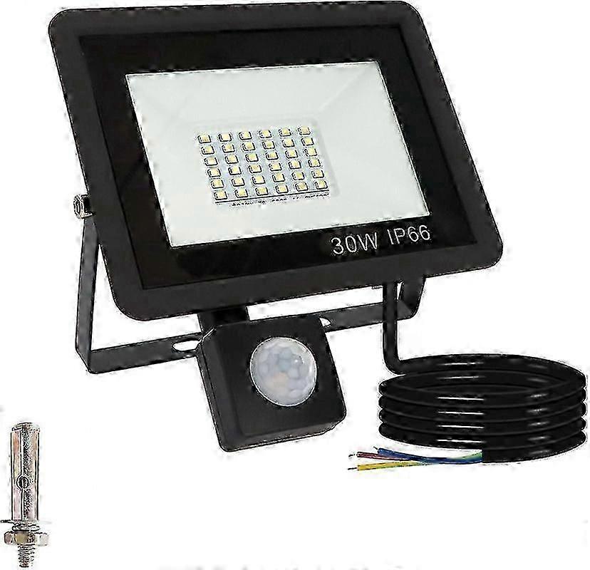 LED spotlight with motion detector outdoor 30W cold white outdoor spotlight with motion detector super bright LED spotlight outdoor IP66 waterproof Ed