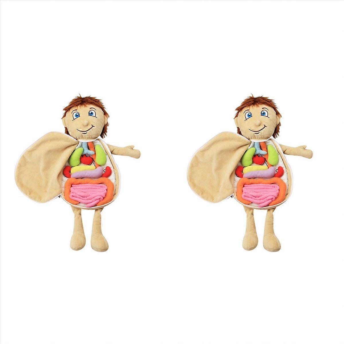 組み立て式ぬいぐるみ 臓器玩具 人体解剖学ぬいぐるみ人形