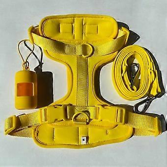 No Pull Lightweight Dog Harness Adjustable Durable Breathable Mesh Pet Vest Harness with Soft Comfortable CushionPet Leashes