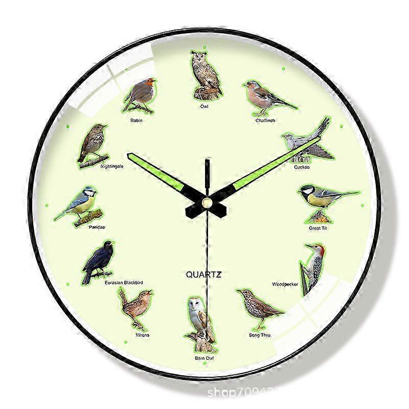Educational Silent 10 Inch Bird Clock