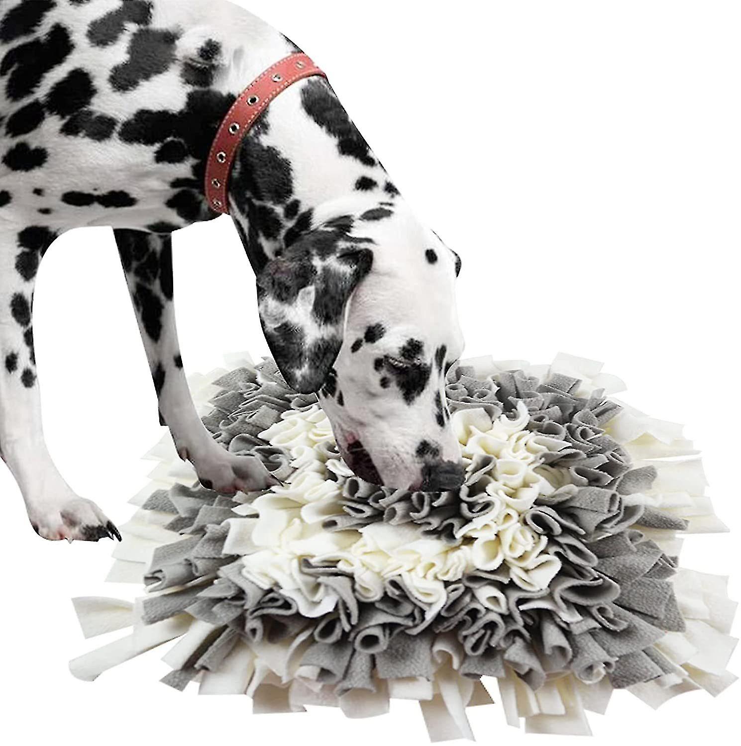 Sniffing Pad Dog Scent Training Sniffing Pad Food Pad Training Pad For Dogs And Cats