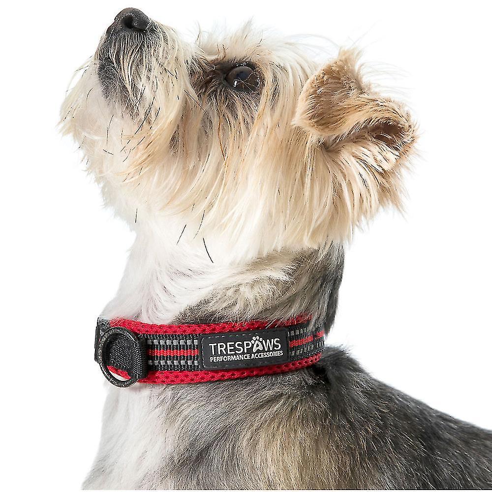 Mens Scooby Soft Padded Reflective Dog Collar