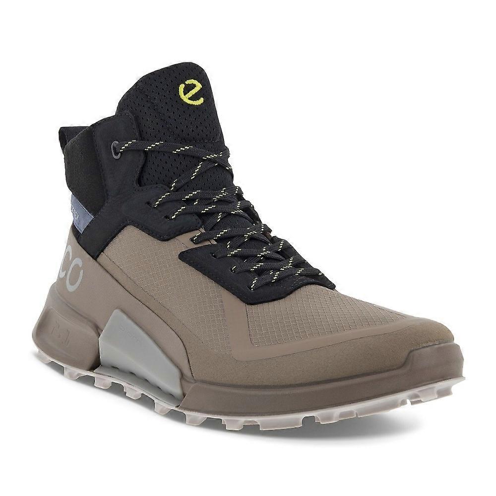 Shoes Ecco Biom 2.1 Mountain Mid Gtx 82380460425