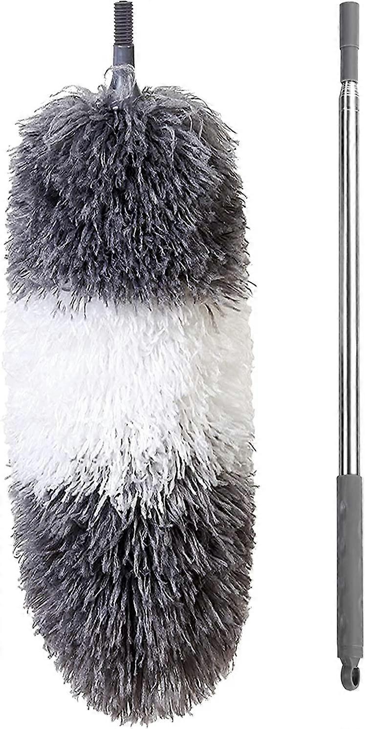 Telescopic Duster Kit, Spider Web Dust Duster, Wolf Head 252Cm Washable Foldable Head