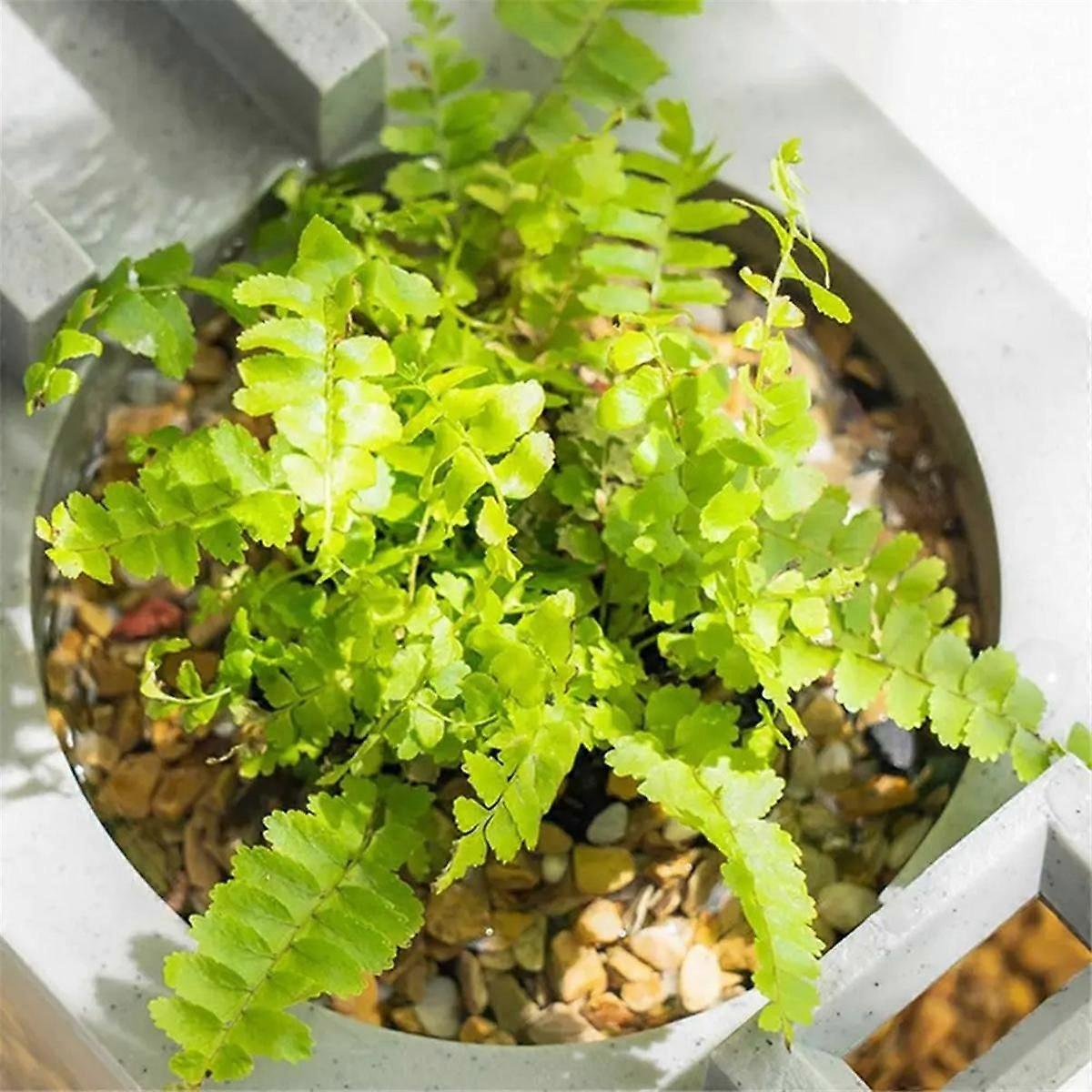 Mini Fish Tank Aquarium StarterKits Mute Water Flow Filter Mini Landscape Fish Tank Office Desktop